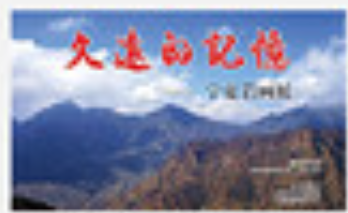 四张小图加文字4